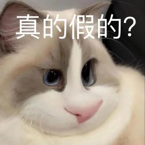 芭比q了是什么意思(网络语“芭比Q”含义及出处详解)