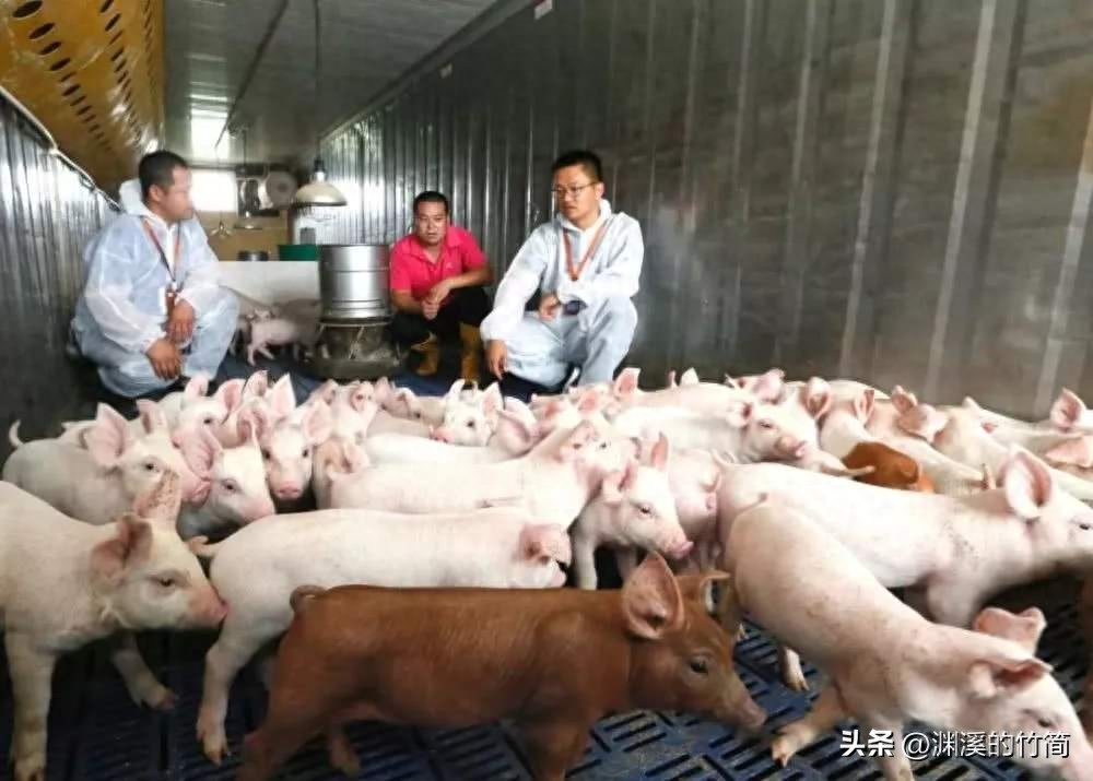 中国首富是谁排名第一(国内最有钱的10个大佬)