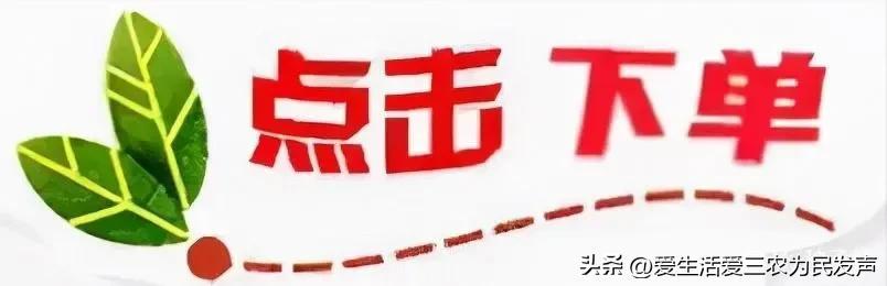 农村无本创业项目（适合穷人创业的小生意）
