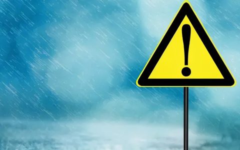 中文亚马逊分类目录（亚马逊注册店铺步骤）