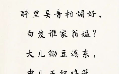 清平乐村居宋辛弃疾（清平乐村居诗歌赏析）