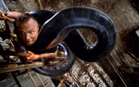蟒蛇电影推荐（十部关于蛇的恐怖片盘点）
