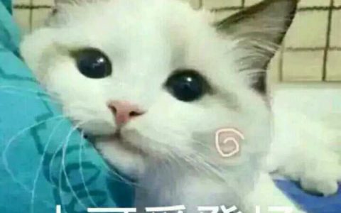 小可爱是什么意思（网络用语“小可爱”的含义）