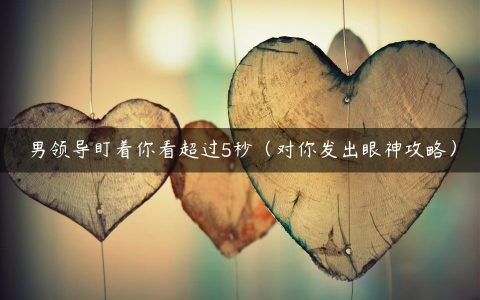 男领导盯着你看超过5秒（对你发出眼神攻略）