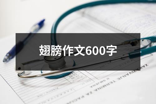 翅膀作文600字
