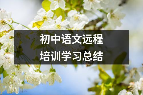 初中语文远程培训学习总结