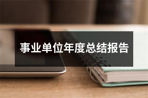 事业单位年度总结报告