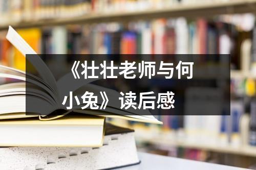 《壮壮老师与何小兔》读后感