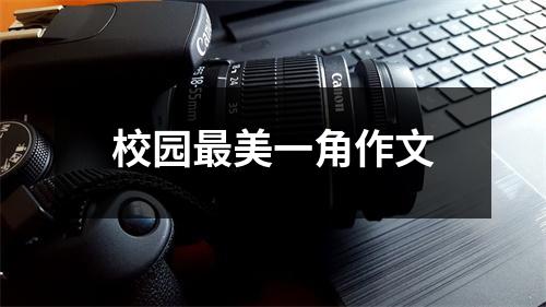 校园最美一角作文