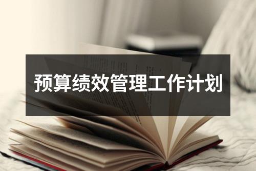 预算绩效管理工作计划