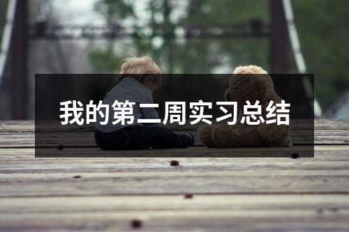 我的第二周实习总结