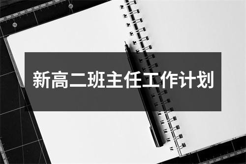 新高二班主任工作计划