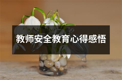 教师安全教育心得感悟