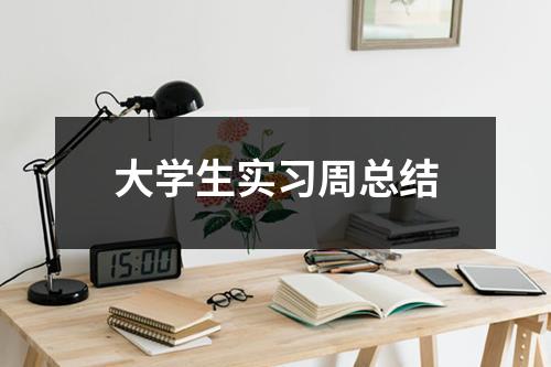 大学生实习周总结