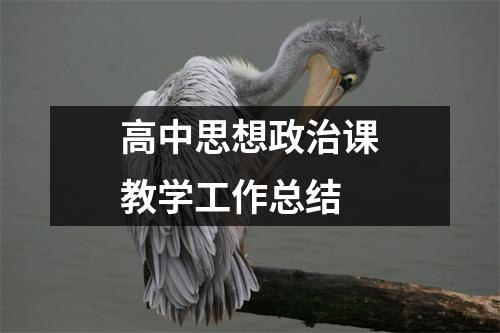 高中思想政治课教学工作总结
