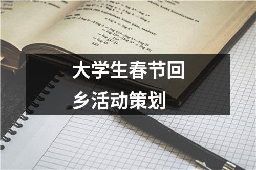 大学生春节回乡活动策划